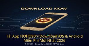nohu90-featured-10