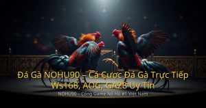 nohu90-featured-89