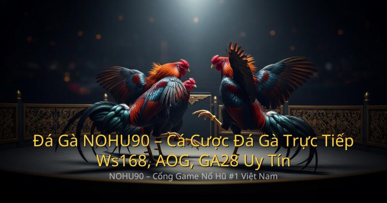 Đá Gà NOHU90 – Cá Cược Đá Gà Trực Tiếp Ws168, AOG, GA28 Uy Tín